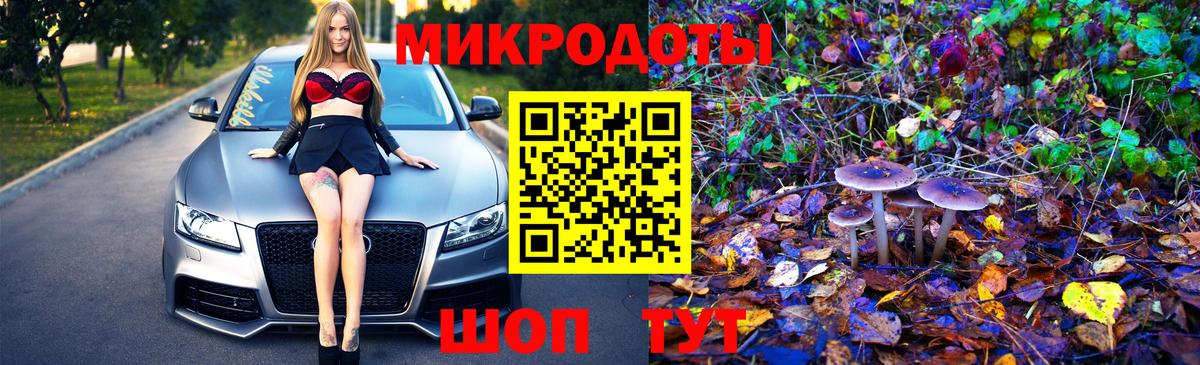 Сунжа  Галлюциногенные грибы мухоморы  Псилоцибиновые грибы прущие грибы  закладка  Вход с VPN 