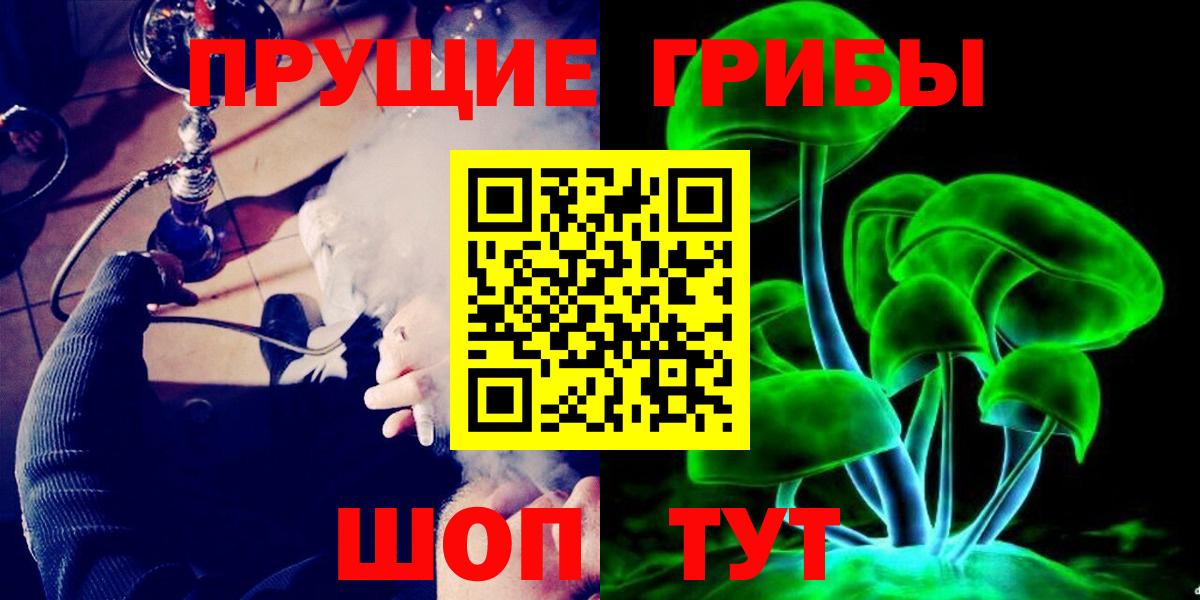 Псилоцибиновые грибы Psilocybe Сунжа