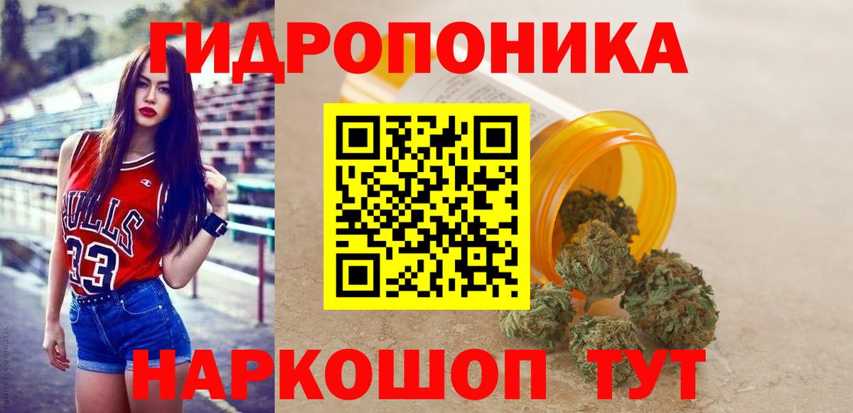Сунжа  Бошки марихуана планчик  Шишки марихуана ГИДРОПОН  Канабис White Widow  Вход с VPN  Конопля семена 